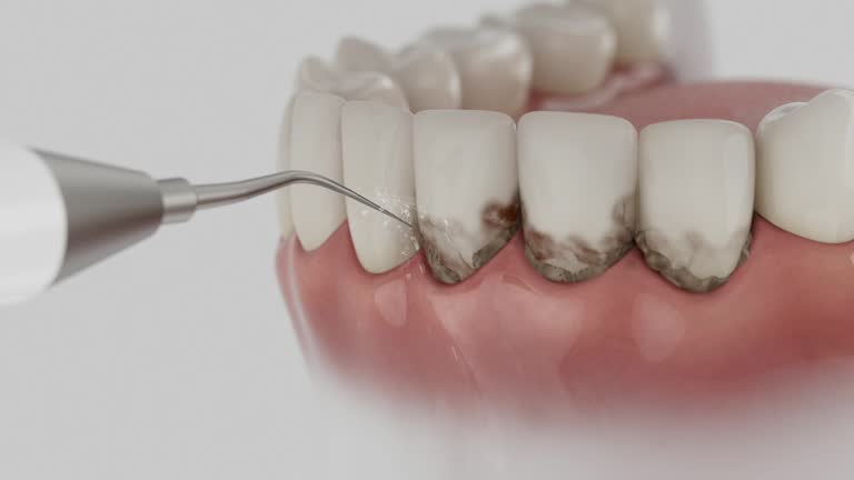 Reliable Dental contractor in Williamston, NC by Dentist Open Now